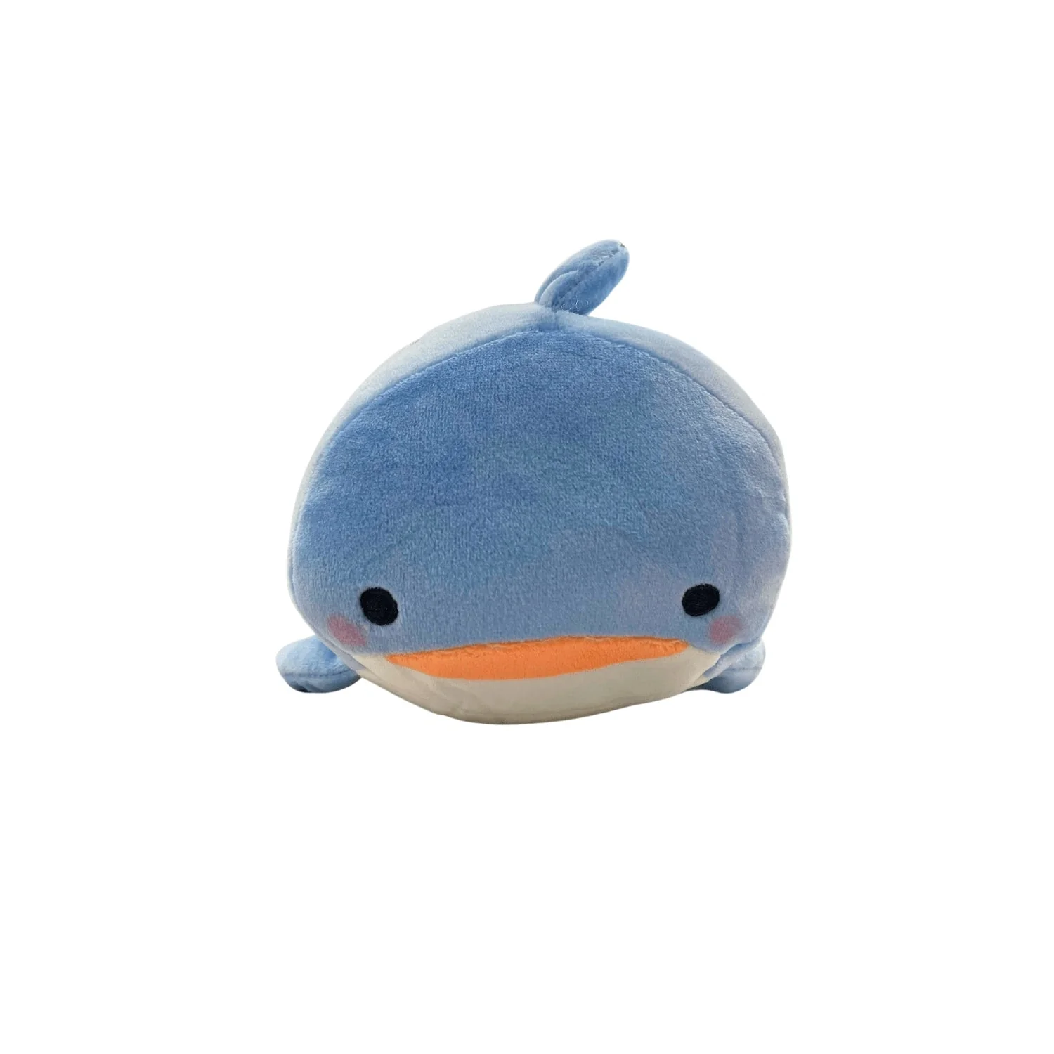 WHALE SHARK 2