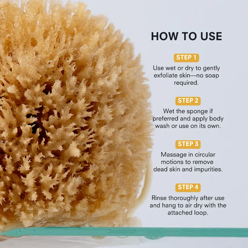 Exfoliating Grass Sea Sponge - Image 3