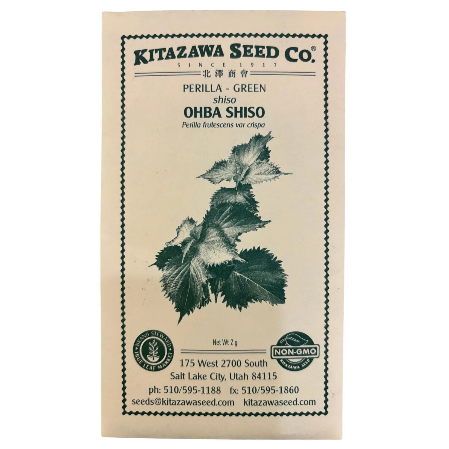 GREEN OHBA SHISO SEEDS