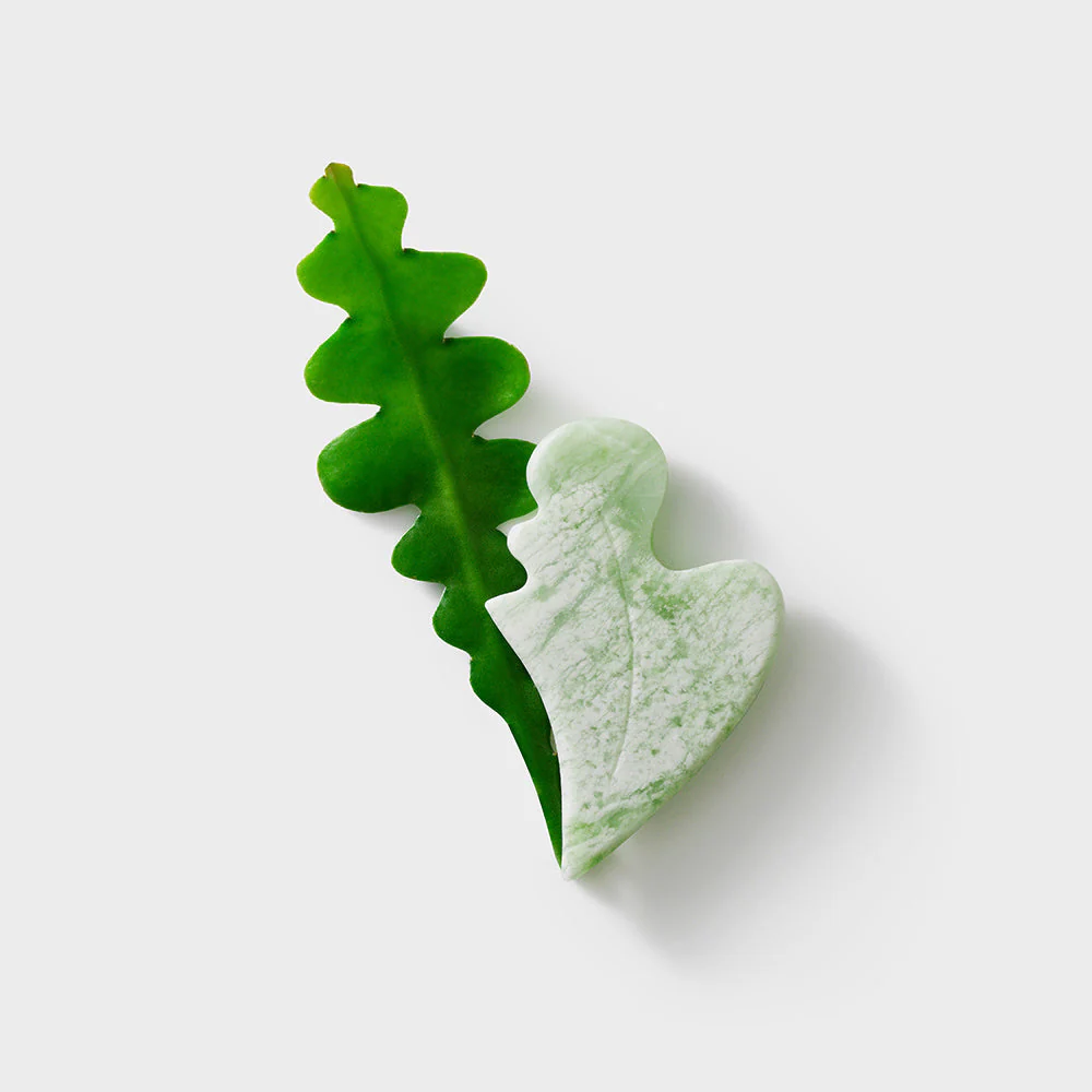 Gua Sha - Image 2
