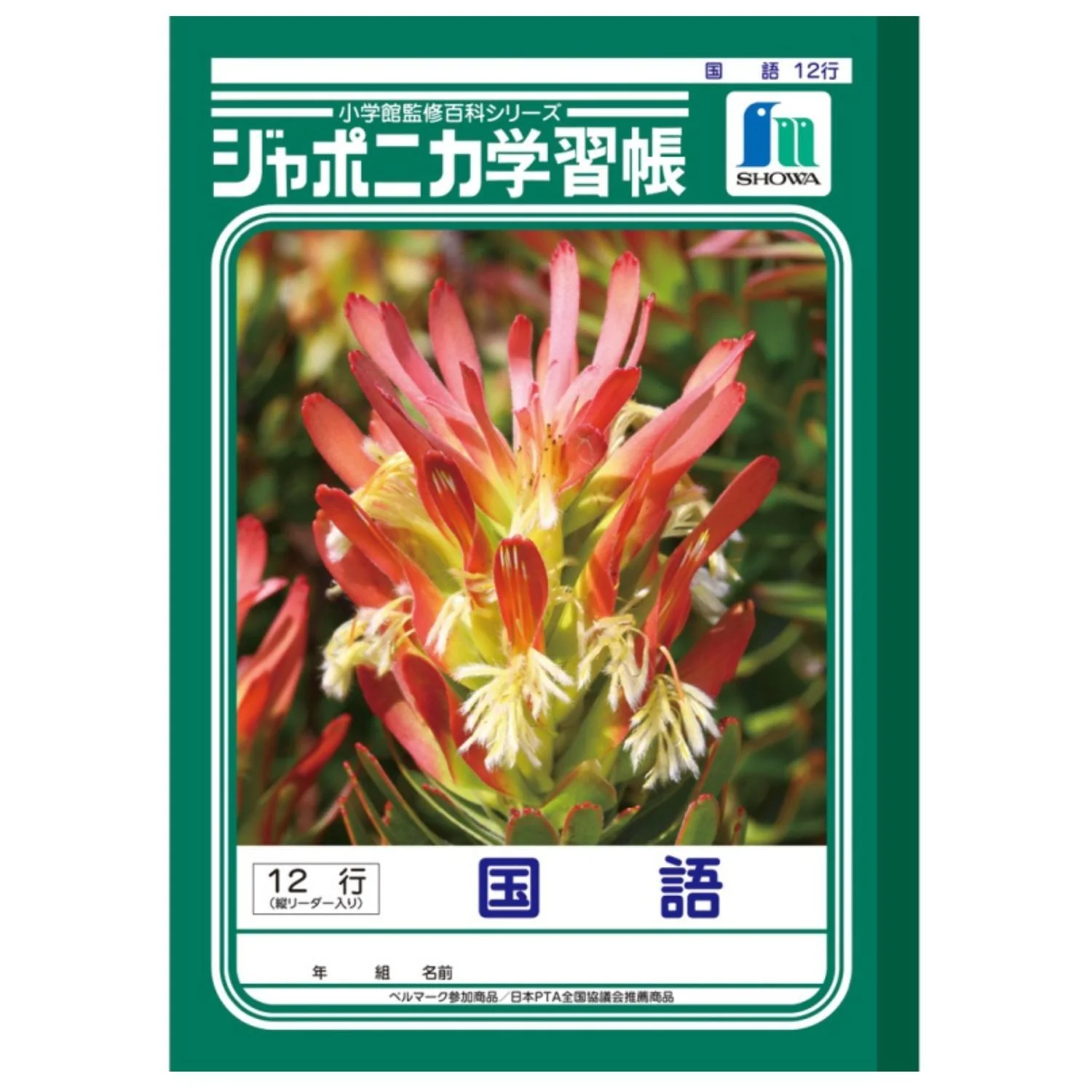 JAPONICA KOKUGO 12GYO