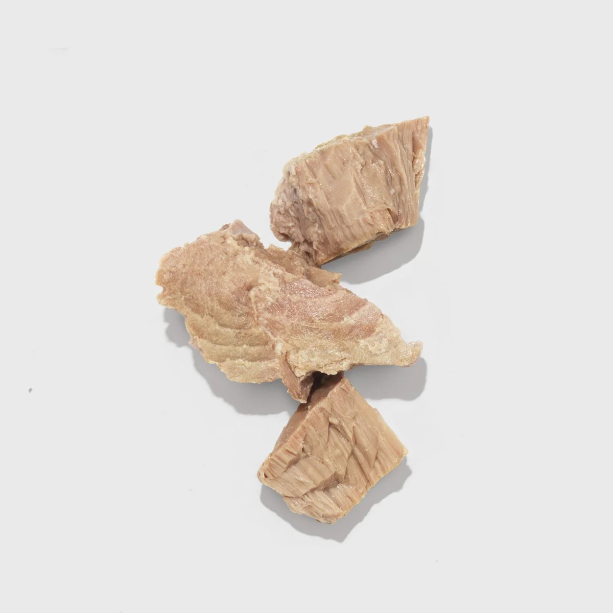 Tuna Fish - Image 2
